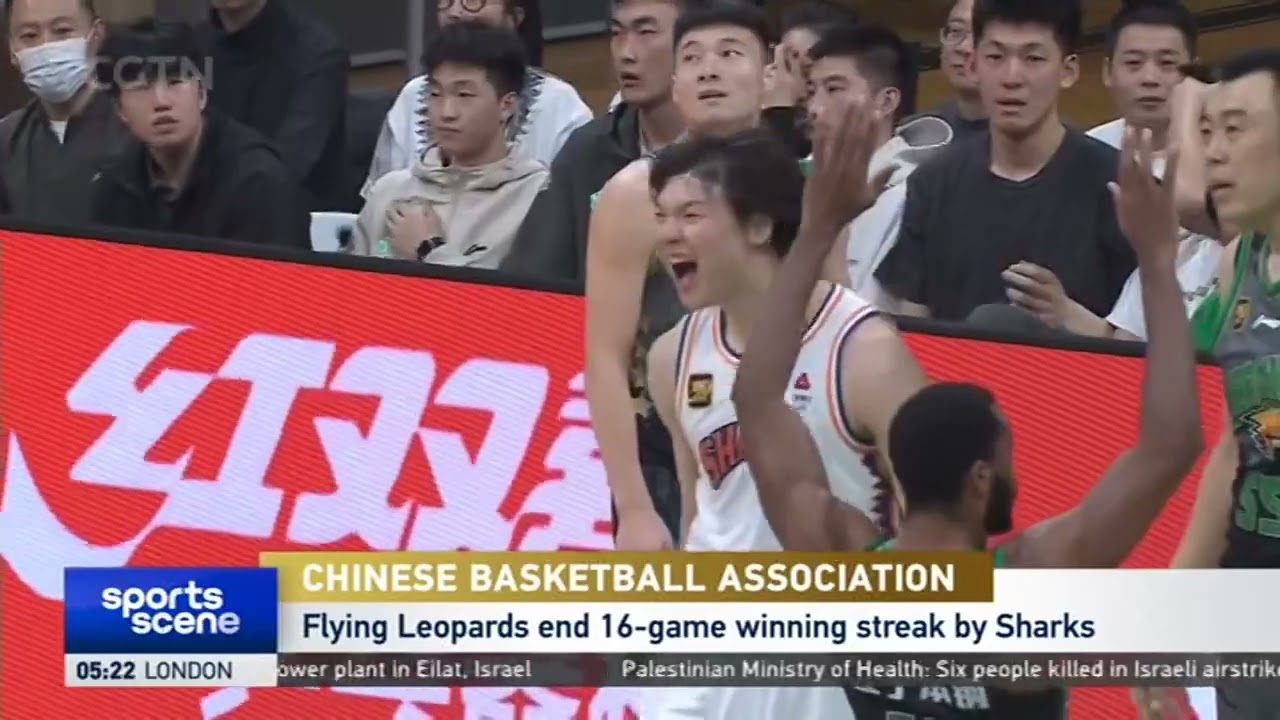 許多港隊支